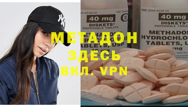 индика Арсеньев
